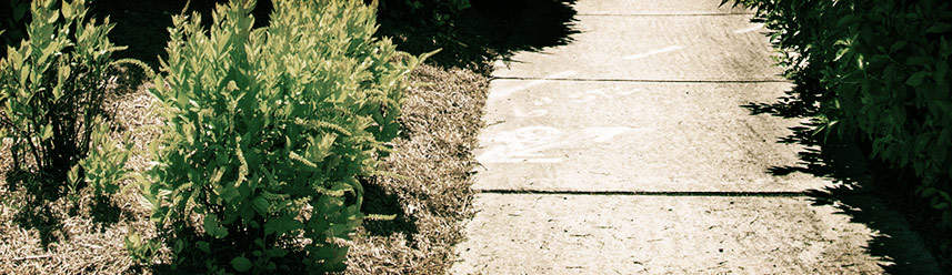 在线手机号测压